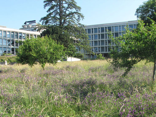 Campus des Cèdres – Lausanne
