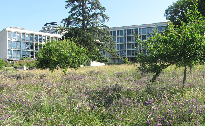 Campus des Cèdres – Lausanne