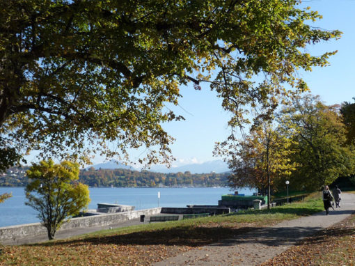 Parc Barton – Genève