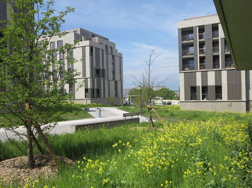 Quartier de la Chapelle – Lancy Genève