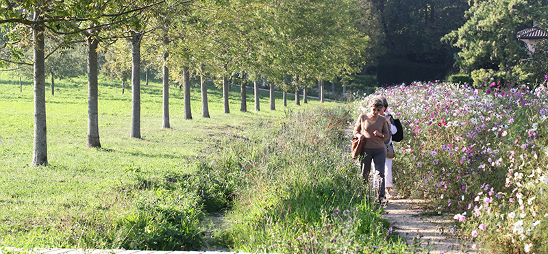 Parc du Château de Prangins – Prangins
